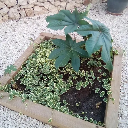 Holiday home Casa Carmen *